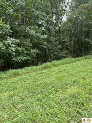 LOT APACHE HILL, LUCAS, KY 42156, photo 2 of 7