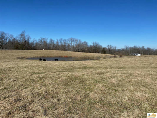 22.32 AC LONOKE ROAD, HORSE CAVE, KY 42749, photo 5 of 6