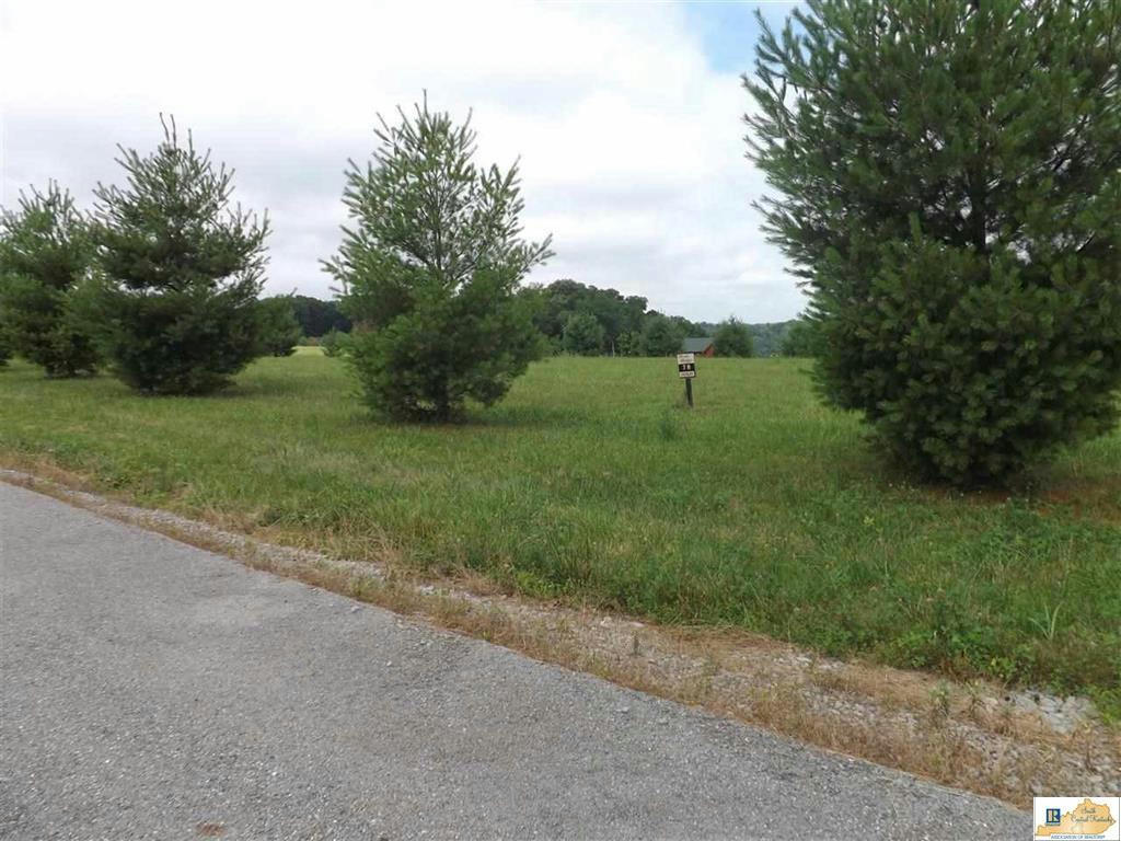 LOT 78 PARKS RIDGE ROAD, RUSSELL SPRINGS, KY 42642, photo 1 of 5