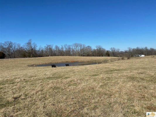 22.32 AC LONOKE ROAD, HORSE CAVE, KY 42749, photo 4 of 6