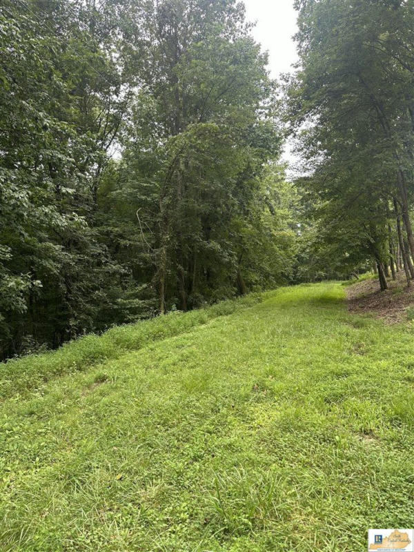 LOT APACHE HILL, LUCAS, KY 42156, photo 1 of 7